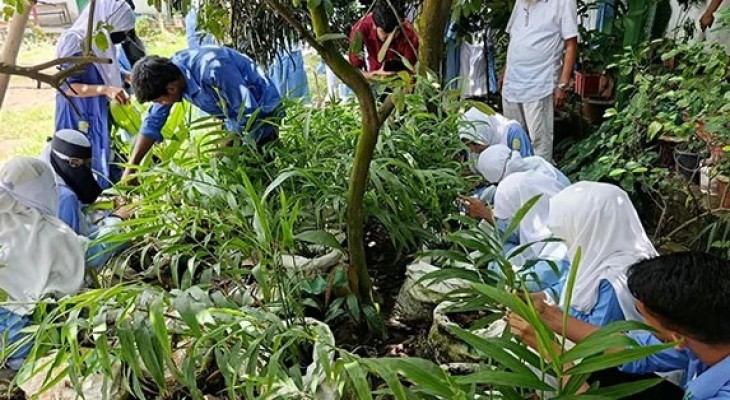 কৃষিতে বাড়ছে তরুণদের আগ্রহ, ডিপ্লোমা নিয়ে হচ্ছেন উদ্যোক্তা